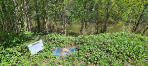 Plaque du suivi Popreptiles (c) Marion Fouchard - LPO PACA